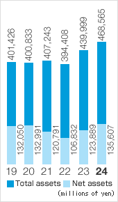 Total assets/Net assets