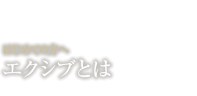 エクシブとは