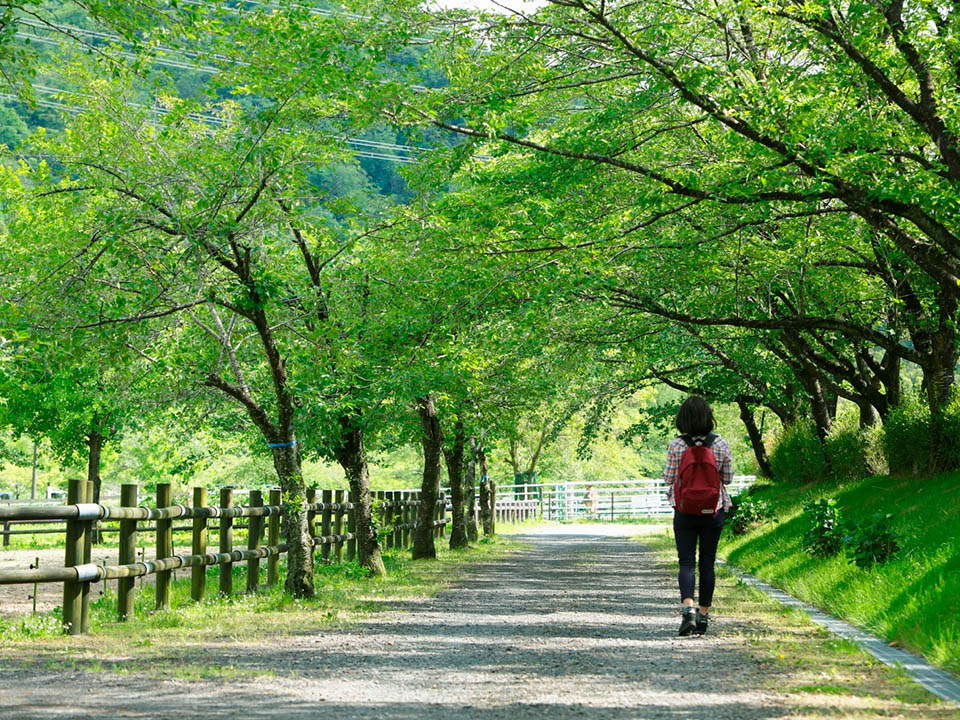 歩いて楽しむ、ふれあいの旅「フットパス」