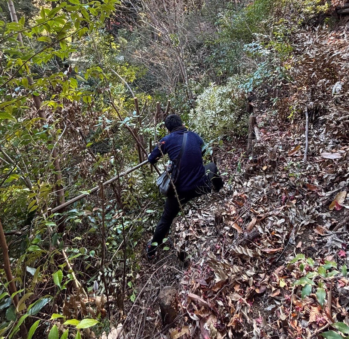 サステナブル・ストーリーを更新しました